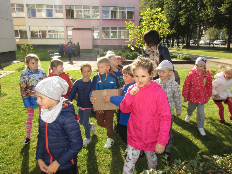 Sporto šventė ,,Mes visi drauge - sportiška šeima